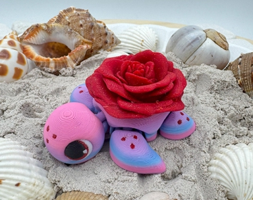 Baby Rosenschildkröte